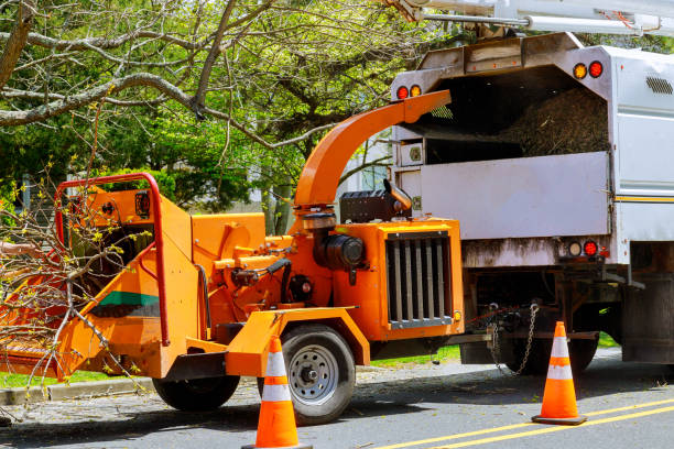 Best Tree Removal for Businesses  in USA